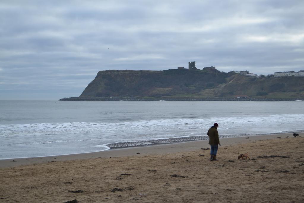 The Beaches Scarborough Dış mekan fotoğraf