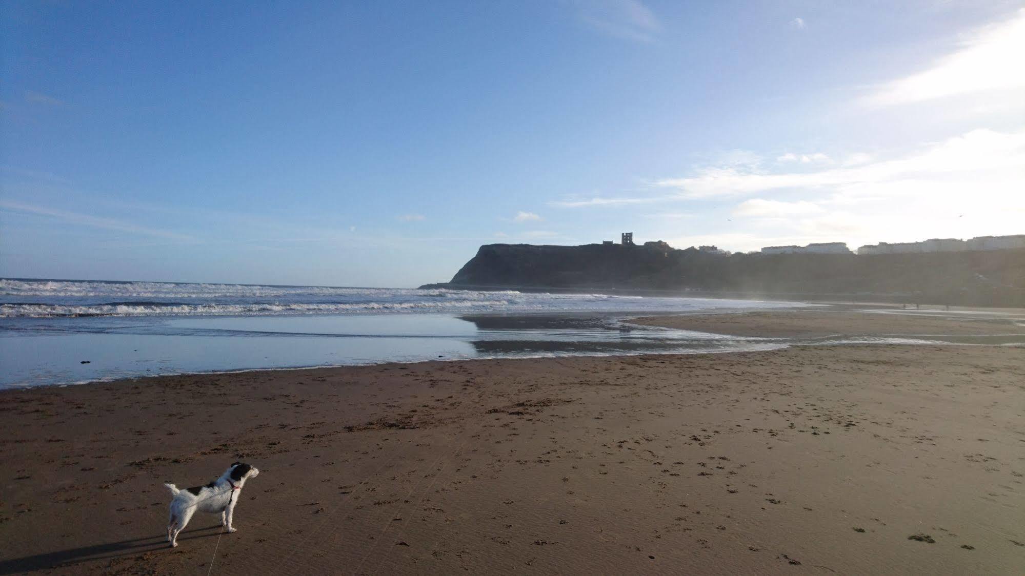 The Beaches Scarborough Dış mekan fotoğraf